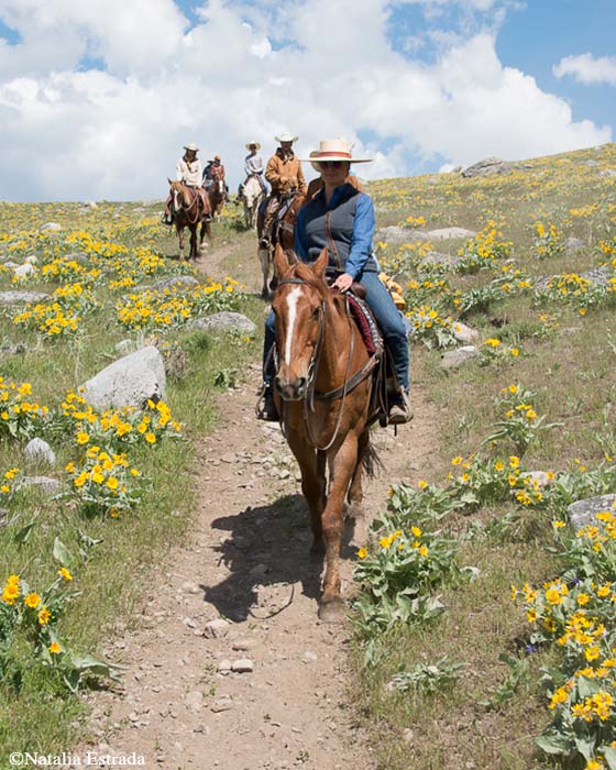 yellowstone-horseback-riding-yrc5 yellowstone-horseback-riding-yrc5