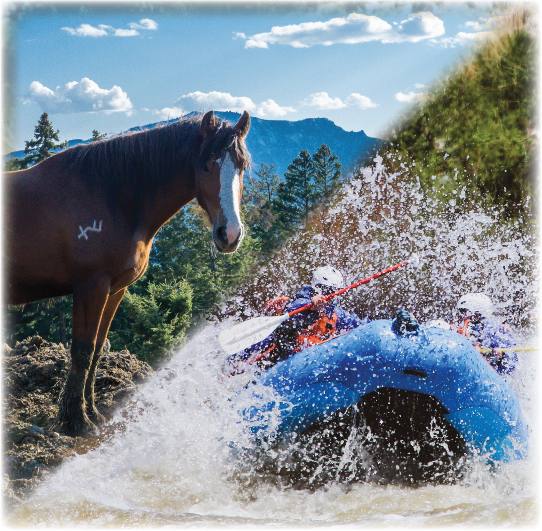 ride and raft yrc 1@3x ride and raft yrc 1@3x