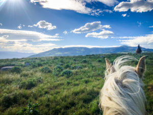 image of Horseback Riding in Montana