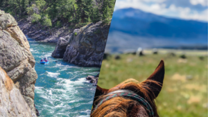 Whitewater rafting excursions