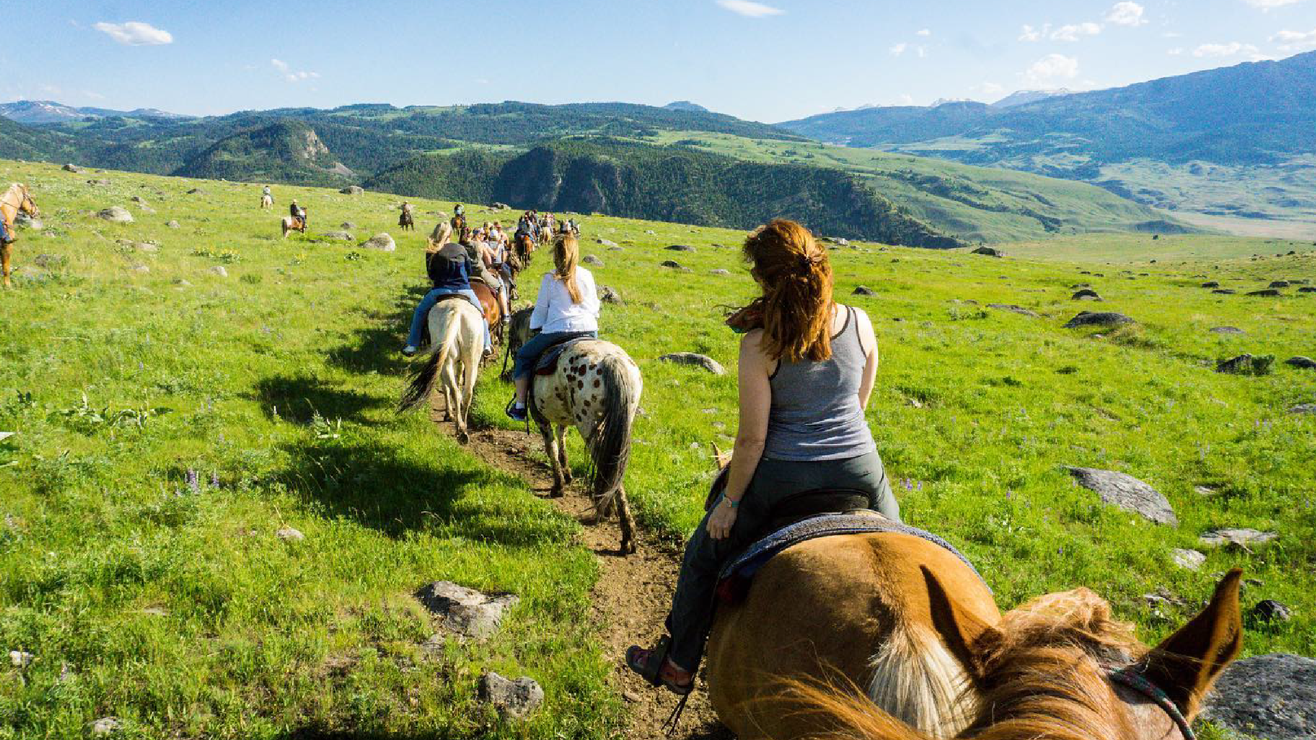 image of horseback riding in MT