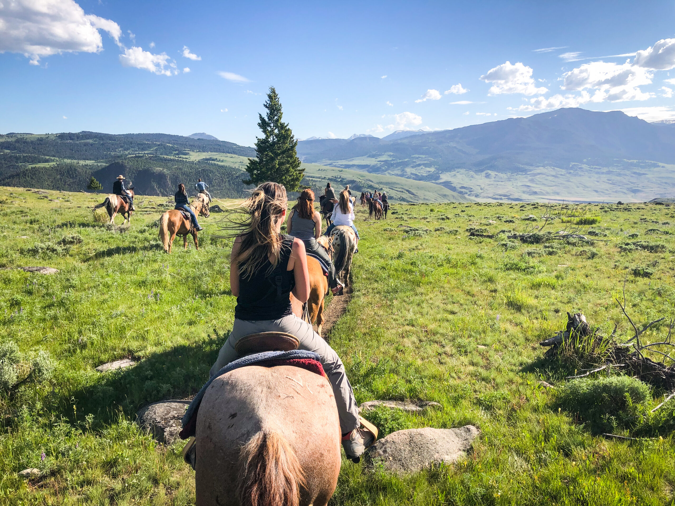 image of horseback riding trip
